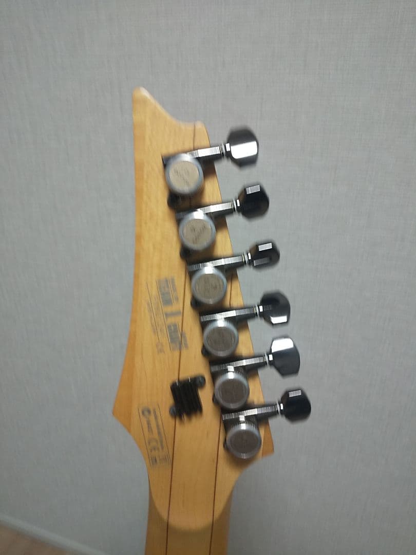 ギター Ibanez RG2450MZ-GK Prestige