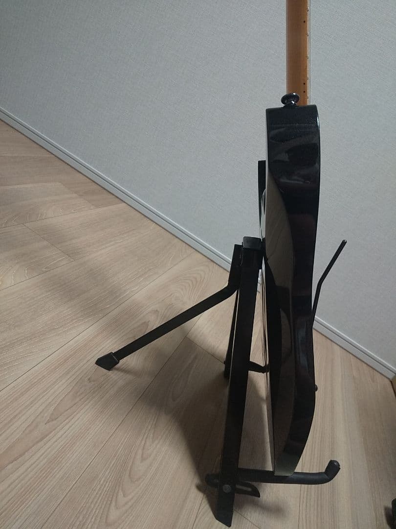 ギター Ibanez RG2450MZ-GK Prestige