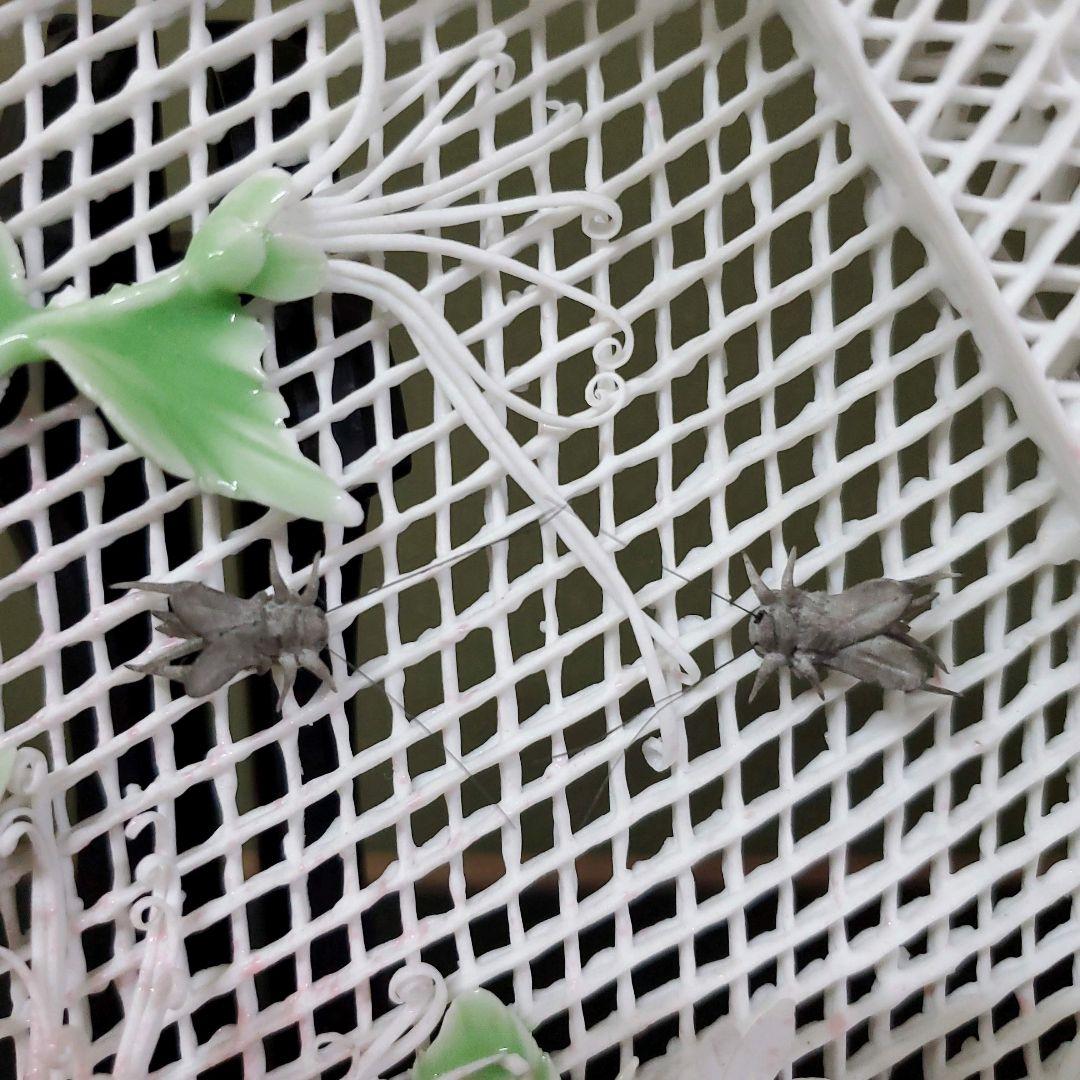 (754)✿景徳鎮窯★中国レース焼★菊鈴虫額皿★破魔オマケ付き★