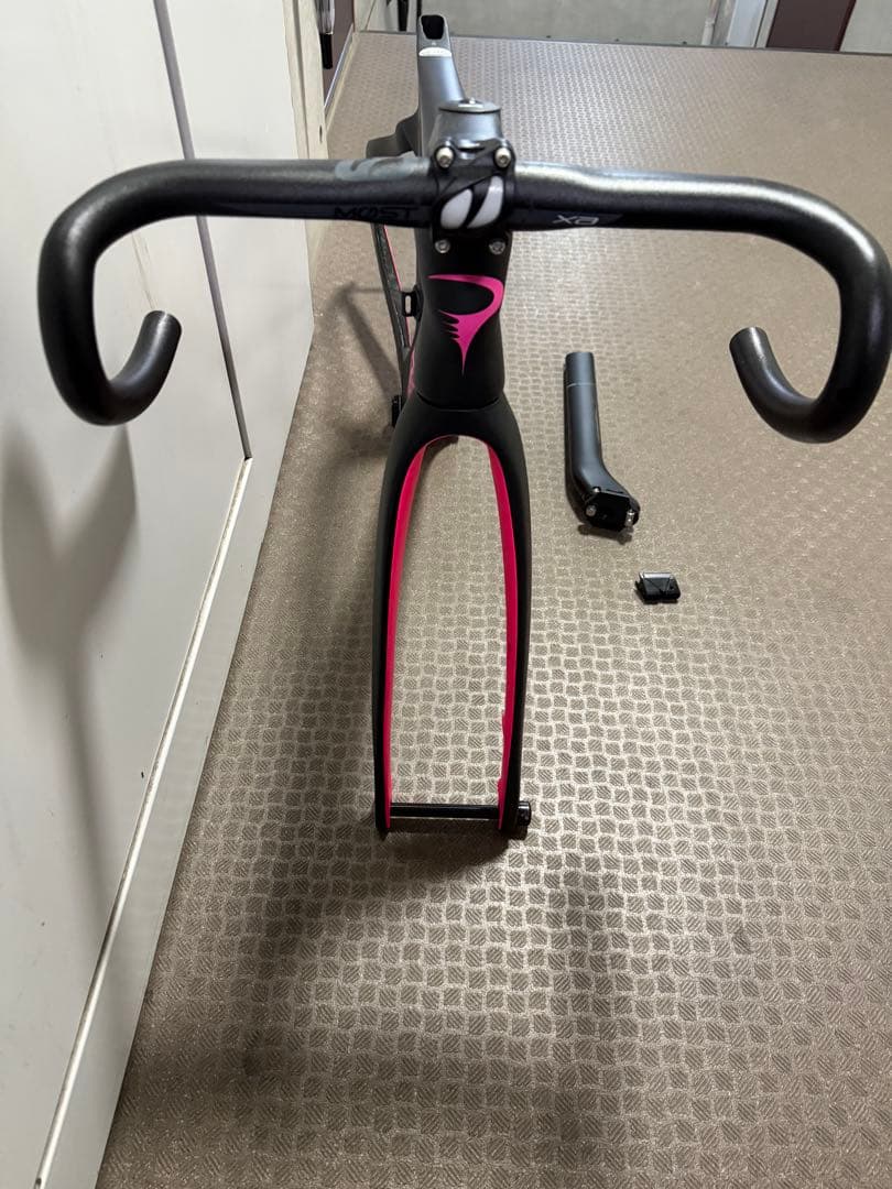 Pinarello Prince フレーム