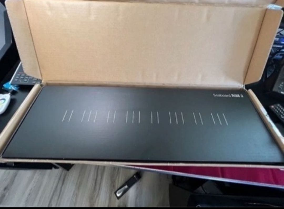 【超希少／今だけ値下げ中】日本では未販売のSeaboard Rise 2！！！