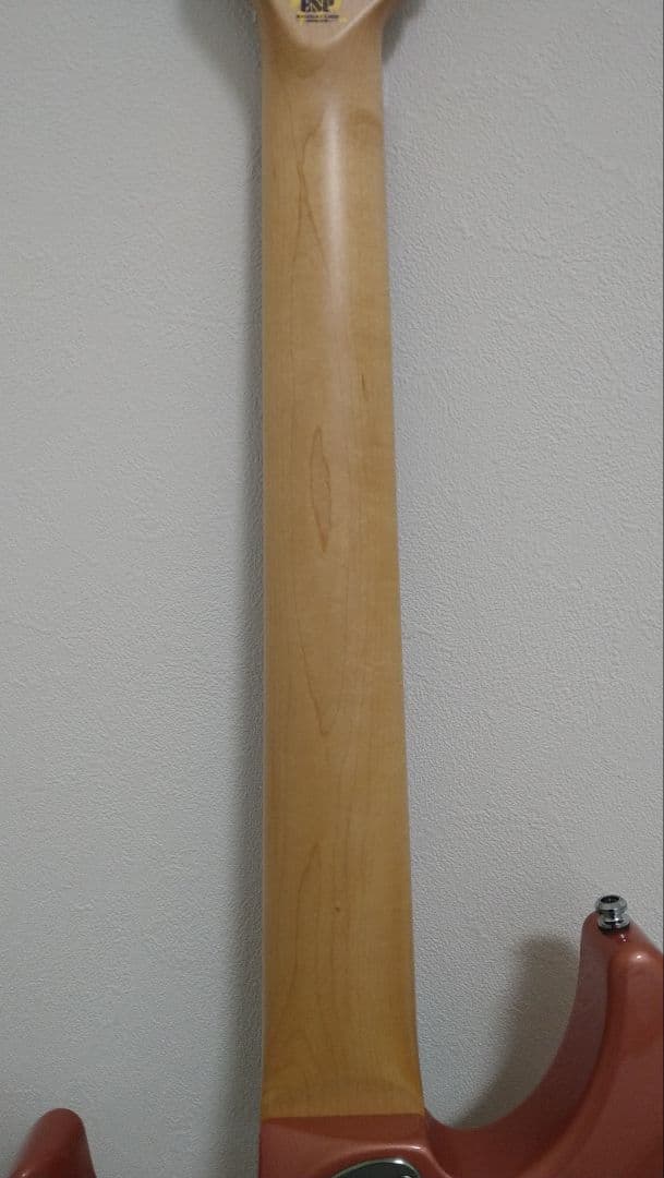 【商談中】 ESP snapper 7 fujioka custom 7弦 多弦