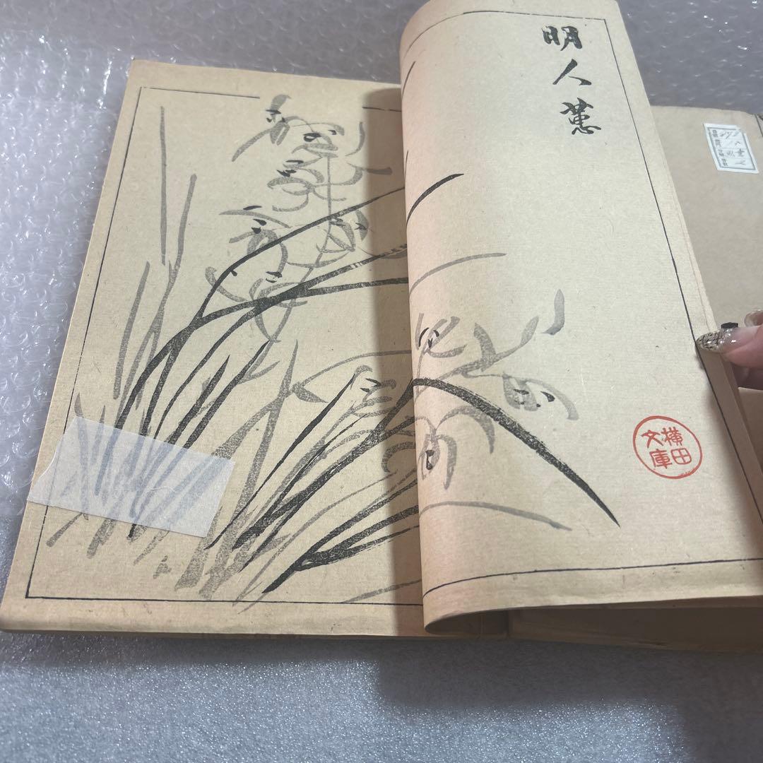 崋山翁蘭竹書譜　2冊　　美品　　希少です。