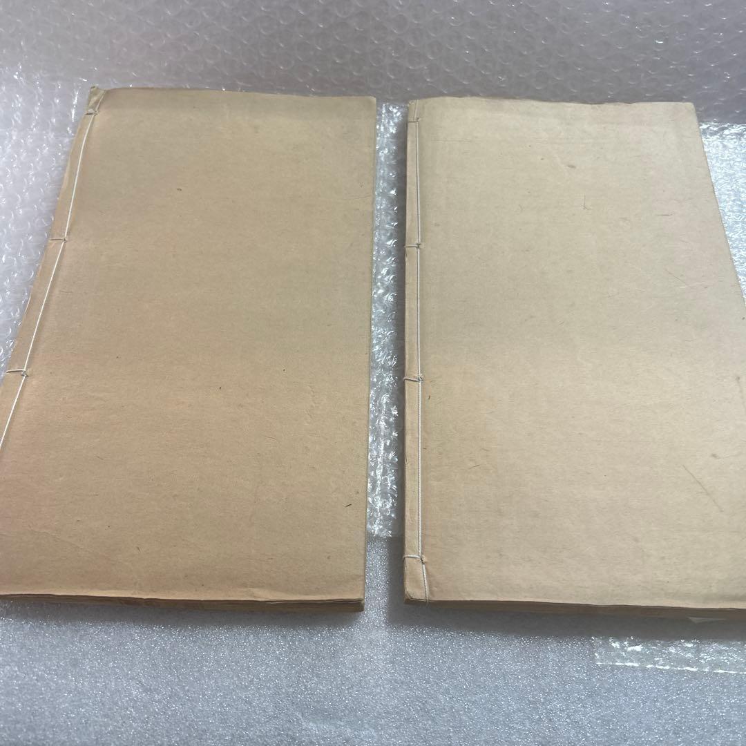 崋山翁蘭竹書譜　2冊　　美品　　希少です。