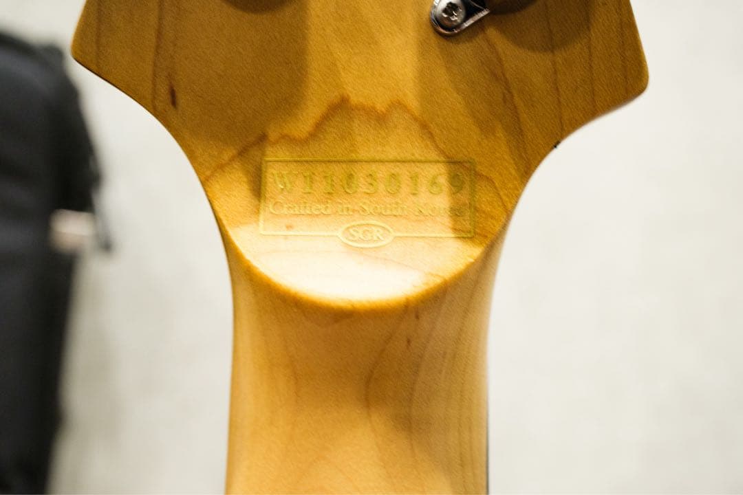 Schecter OMEN6 ソフトケース付き