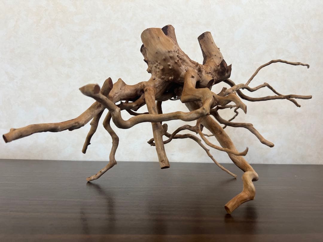 63001 ブランチウッド　流木　アクアリウム　沈水確認済