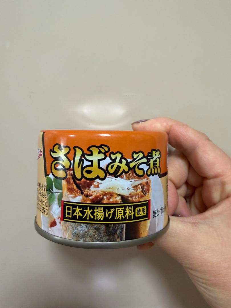 さばみそ煮×95個 賞味期限:2028年9月1日