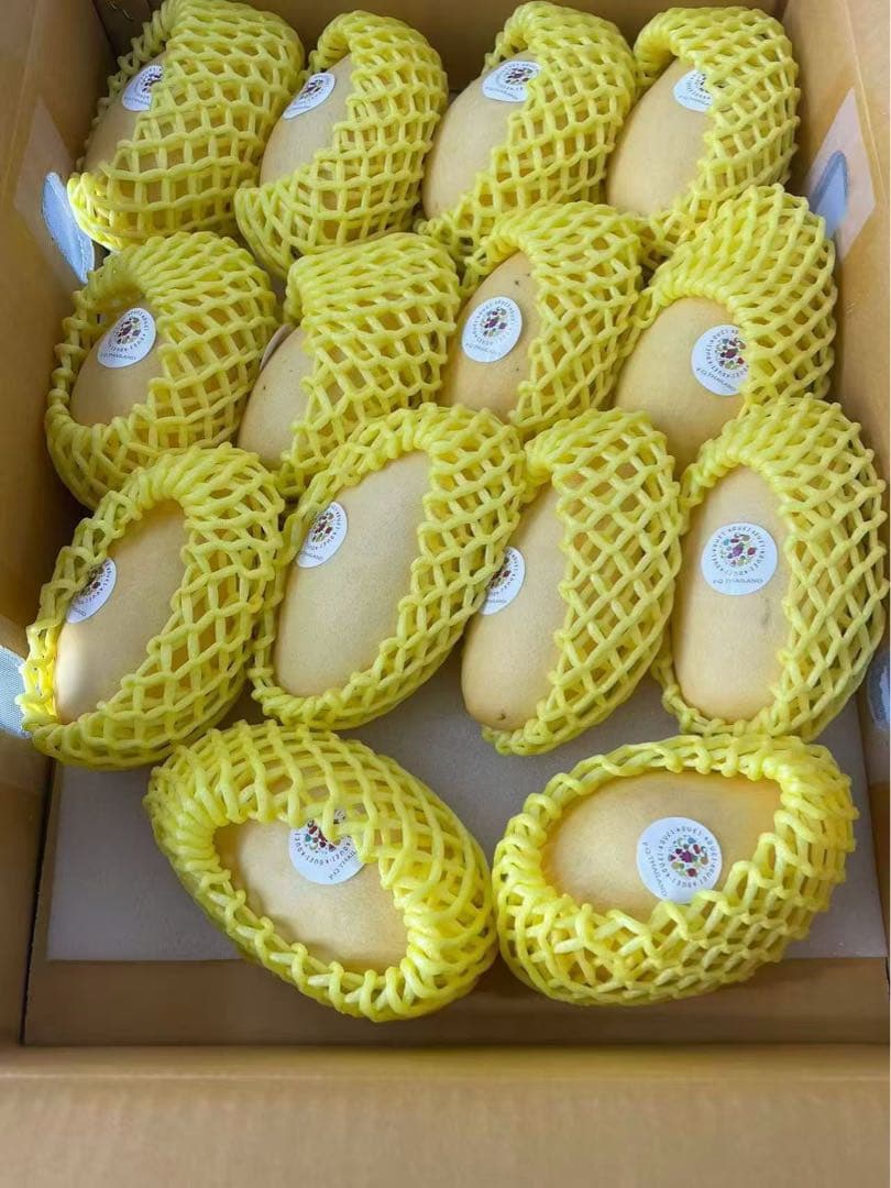 超甘〜いマンゴー一箱