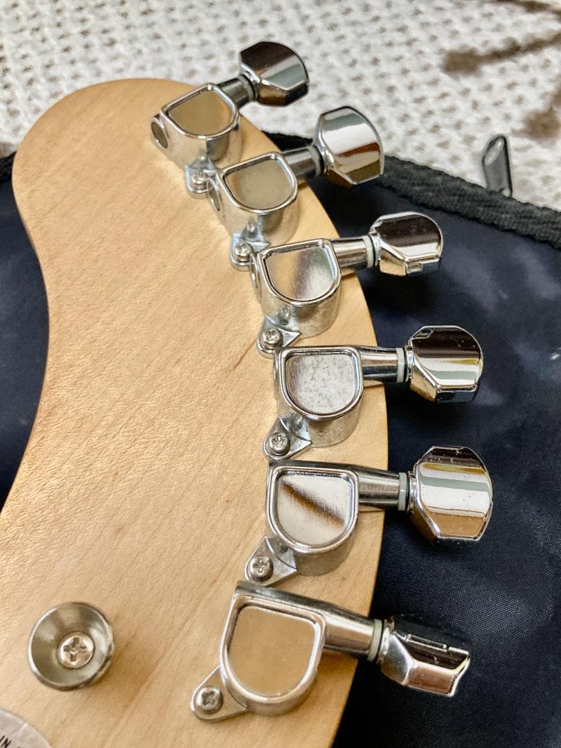 にっと！FERNANDES ZO-3　アンプ内蔵 専用ソフトケース付