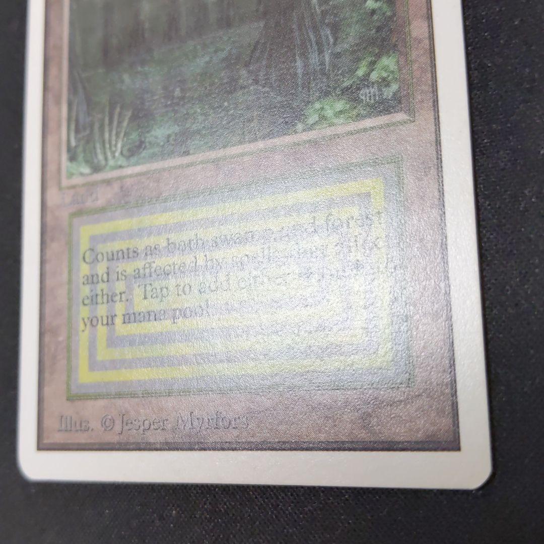 ●【擦れアリ】Bayou　２ED　英語１枚