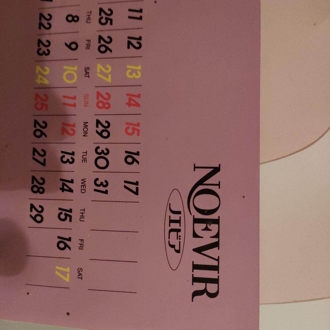 NOEVIR　ノエビア　カレンダー　1996 表紙無