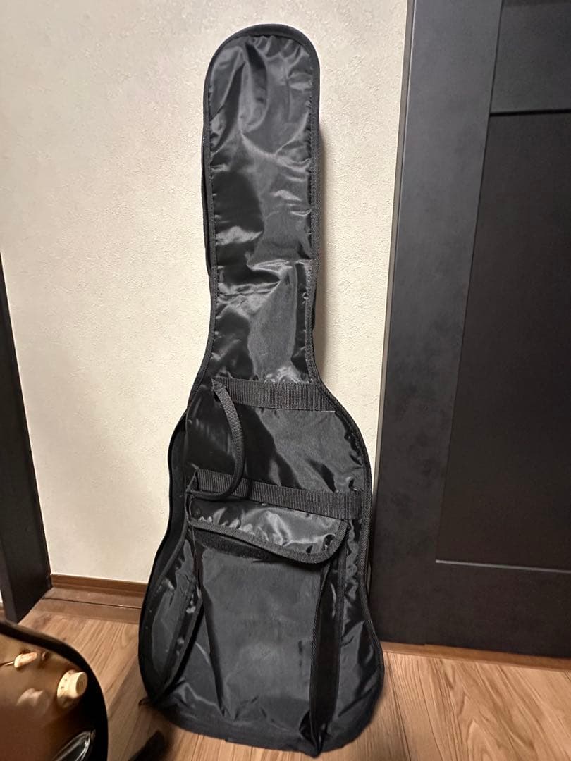 ギター pirates relic by georarms stratocaster