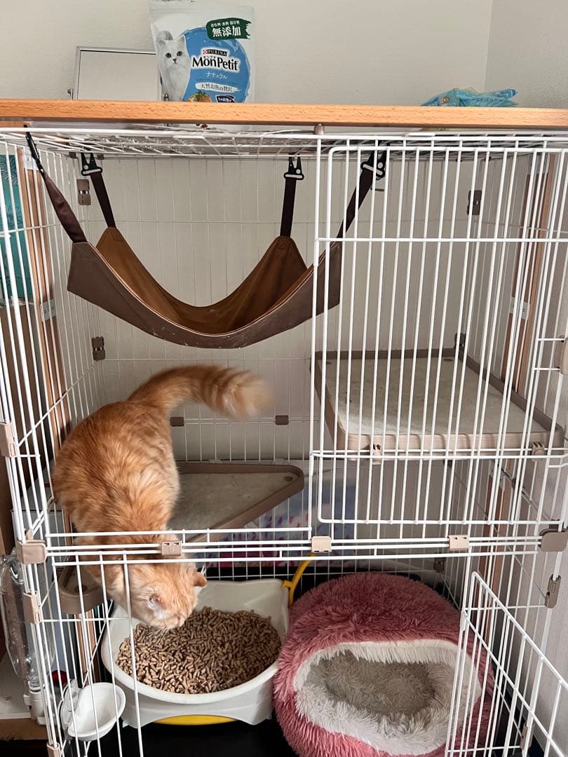 コジマのキャットケージ ハンモック付き　ウッドワンサークル