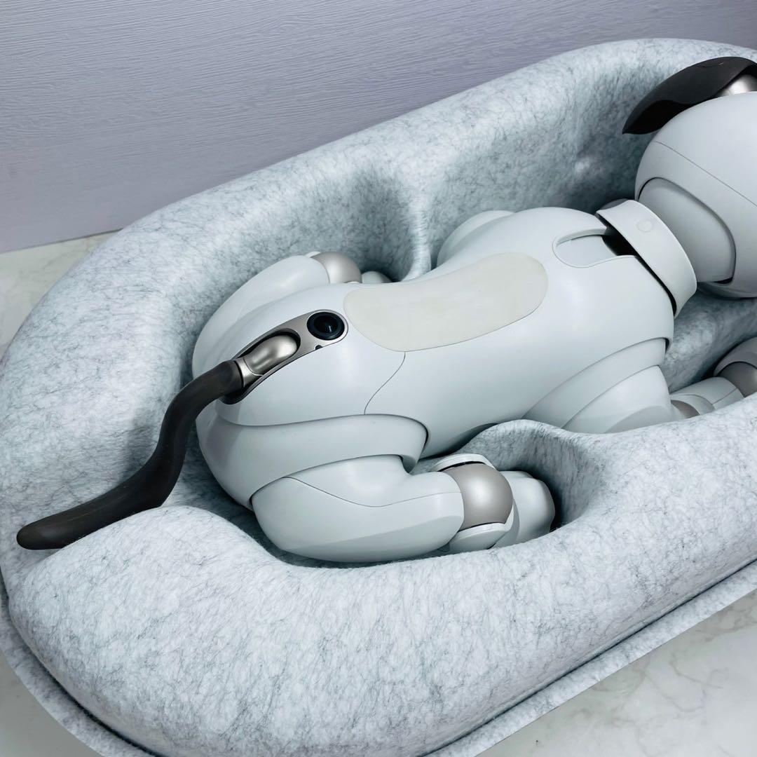 SONY aibo ERS-1000/M/S 箱付属品あり アイボーン・サイコロ