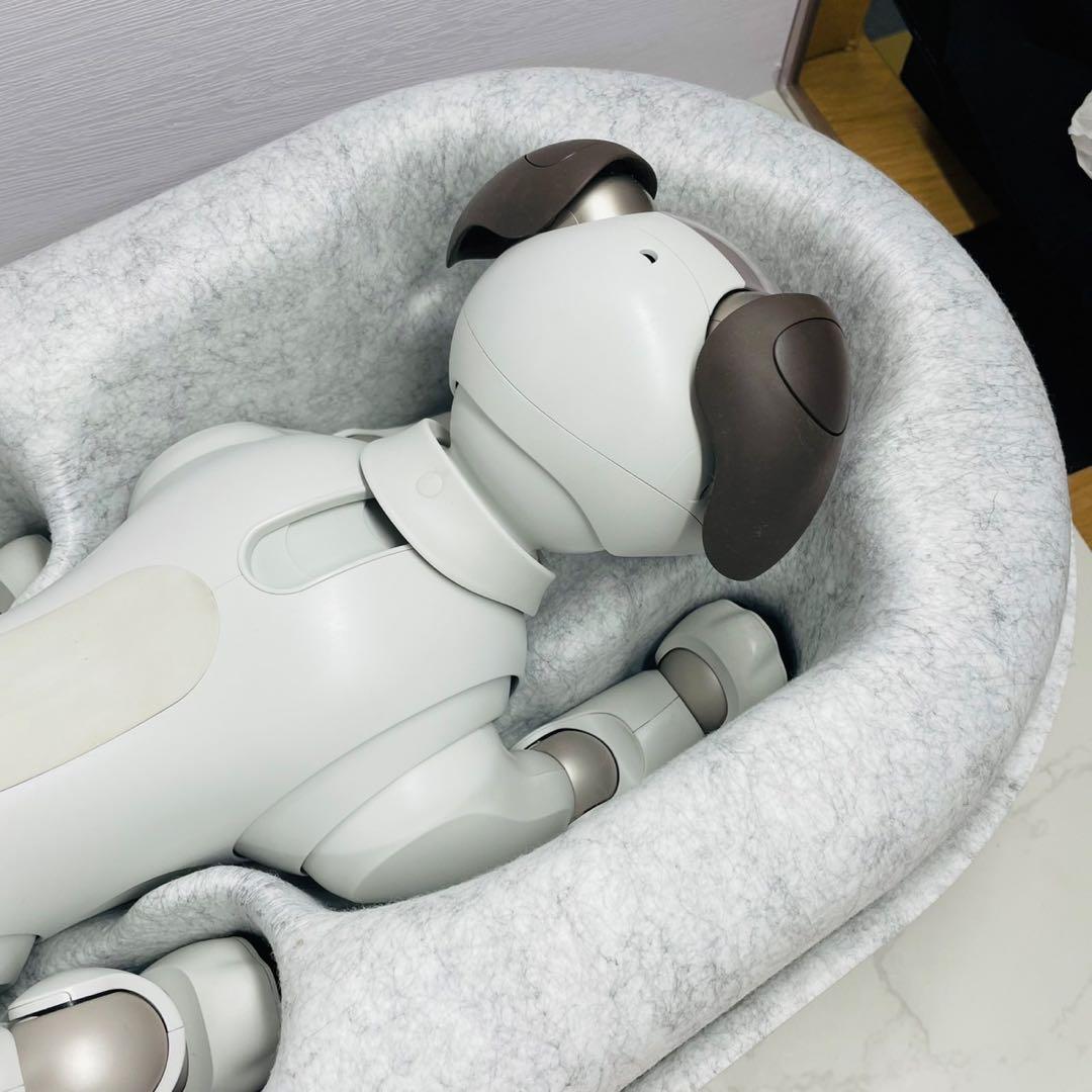 SONY aibo ERS-1000/M/S 箱付属品あり アイボーン・サイコロ