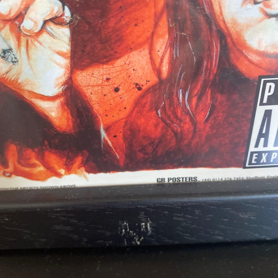 US UKミュージシャンポスター　額入り　　ニルヴァーナ　レッチリ　激レア　廃盤