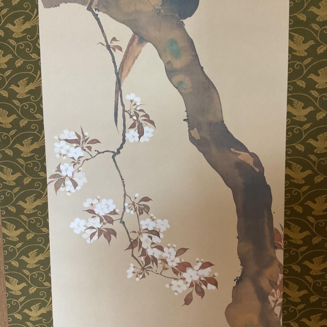 酒井抱一筆 桜花雉子図 1260 / 1500部 複製画