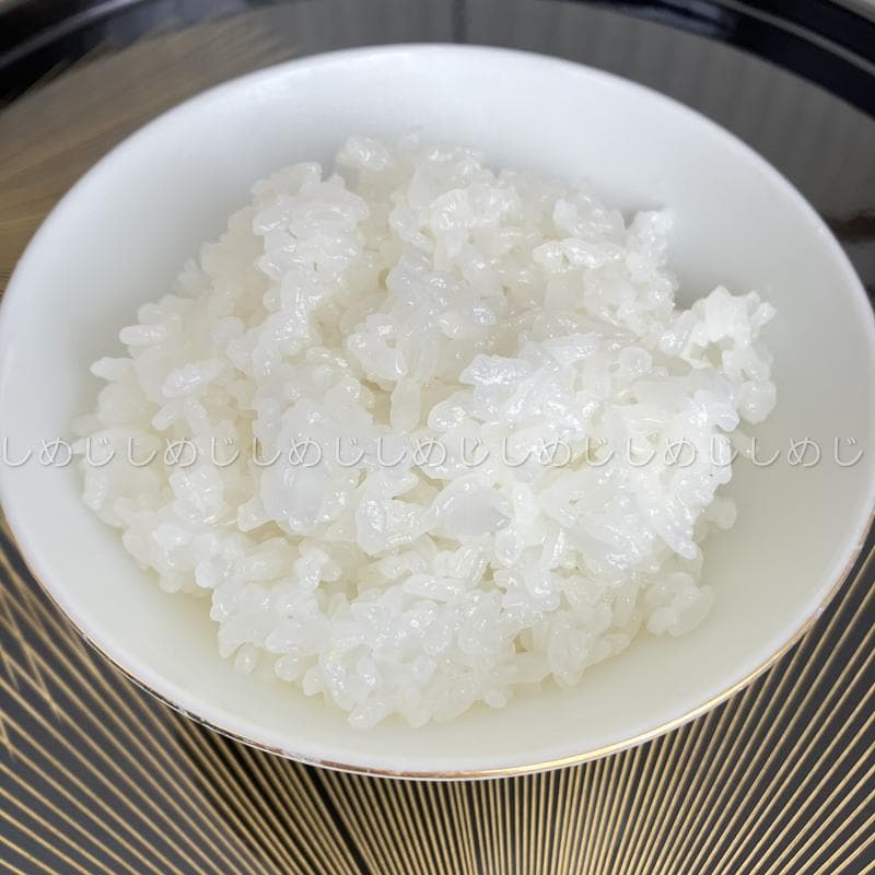 魚沼産コシヒカリ　令和7年産　白米　10キロ　米農家直送　送料無料