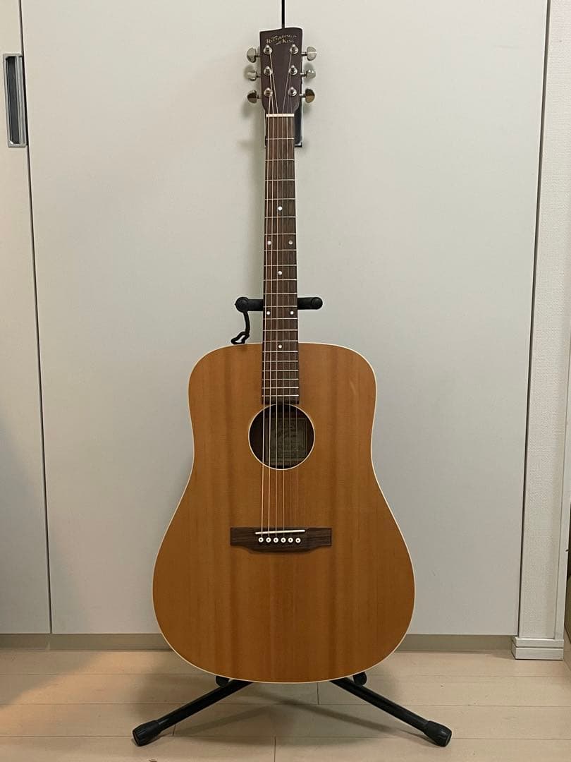 Recording King RD-A9M オール単板 ドレッドノート