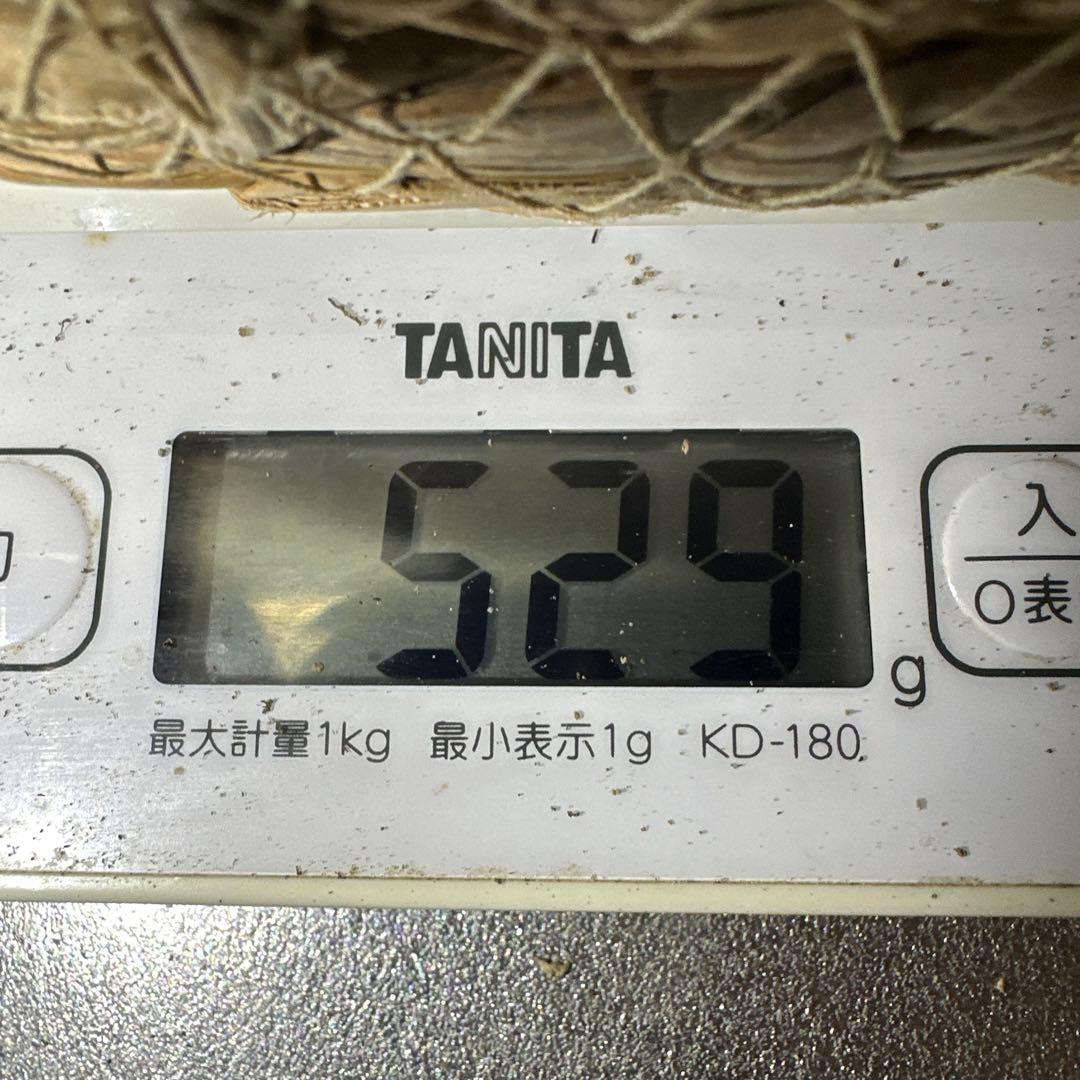 訳あり品‼️国産天然松茸‼️510g‼️