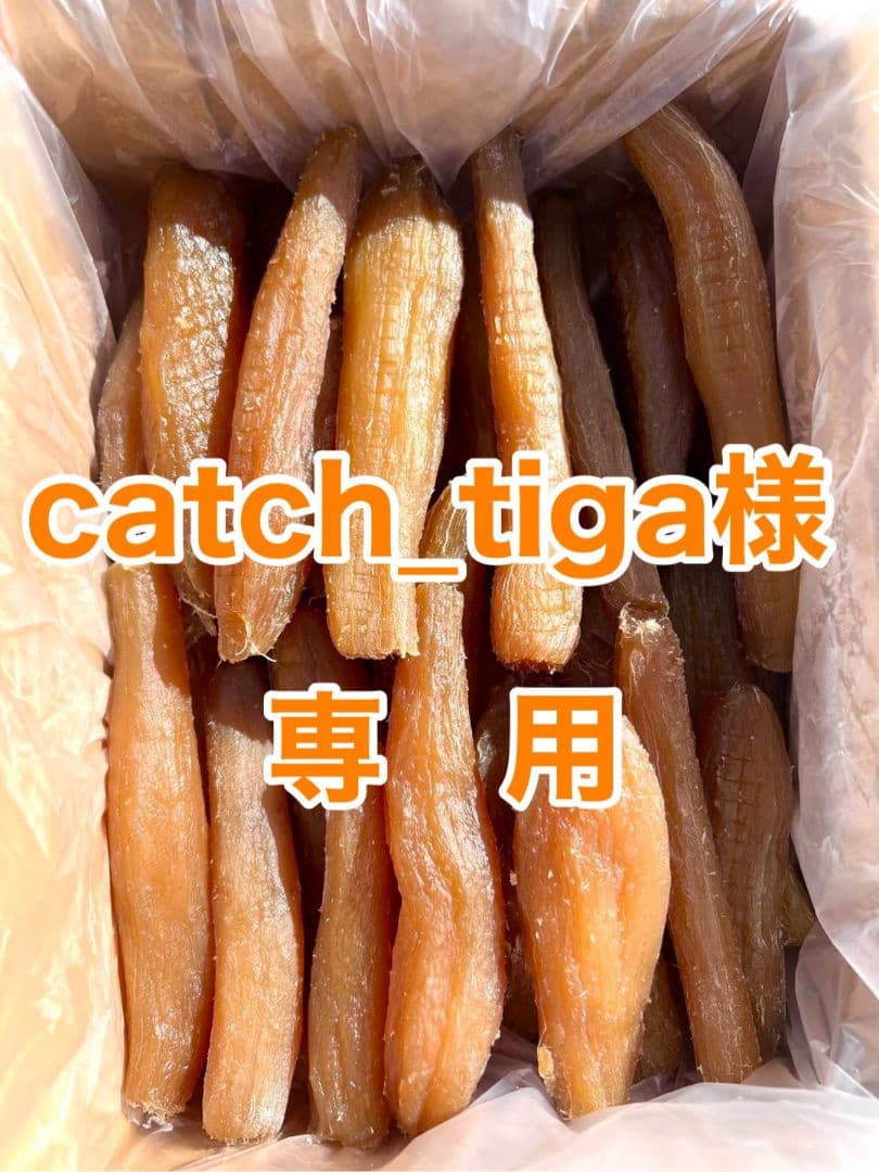 catch_tigaページ