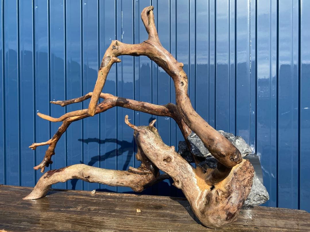 流木レイアウト A861