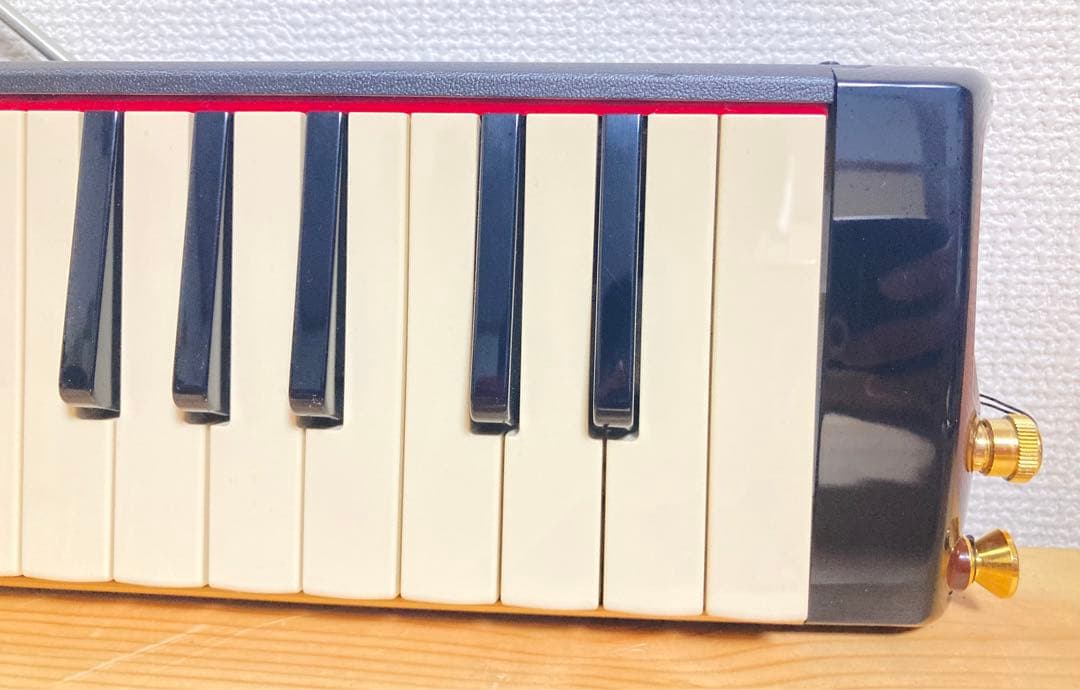 ☆ 超美品！！ SUZUKI PRO-37 V3 メロディオン 鍵盤ハーモニカ