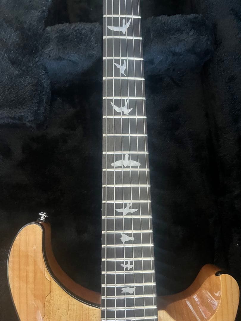 おもち　PRS IkebeOriginal CUSTOM24