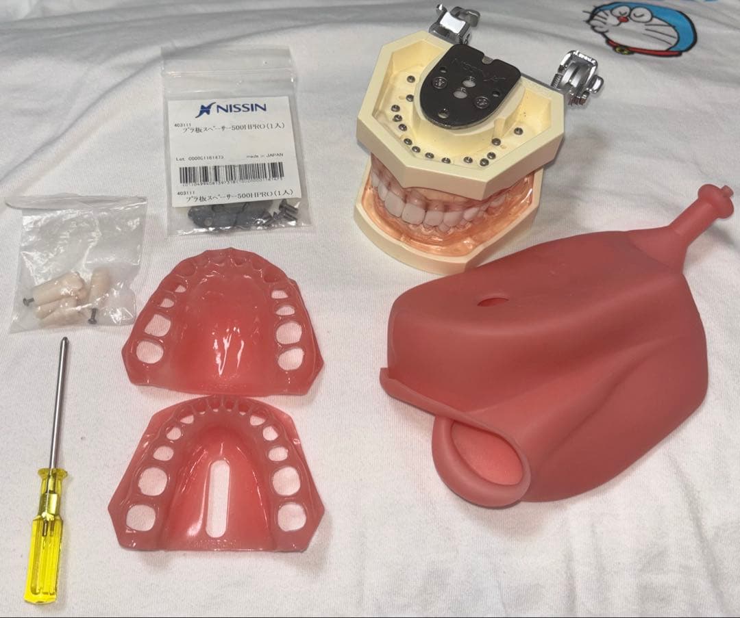 顎模型 歯科用模型セット NISSIN 歯科