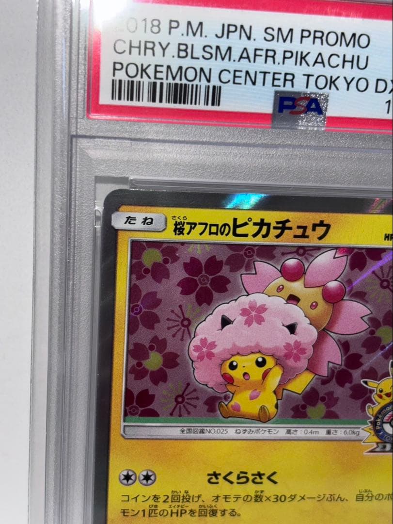 桜アフロのピカチュウ：ポケモンセンタートウキョーDX オープン記念 にほんばれ