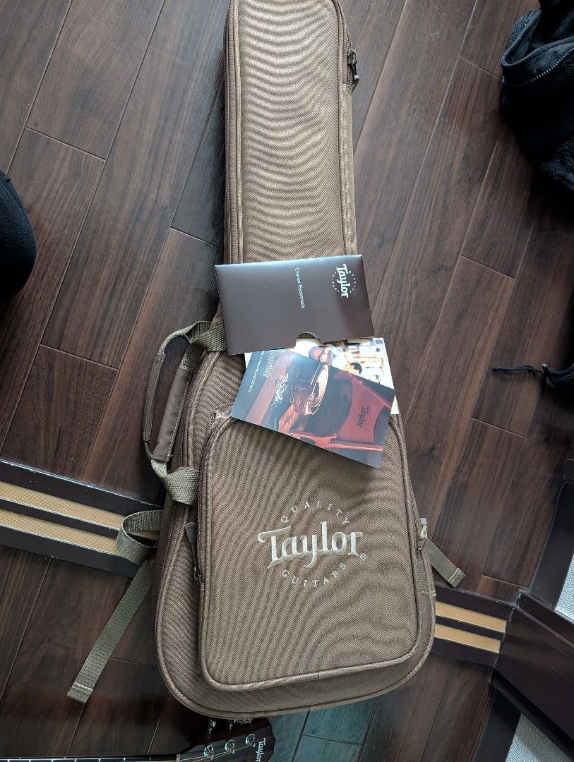 Taylor Swift Baby T テイラー テイラースイフトモデル アコギ