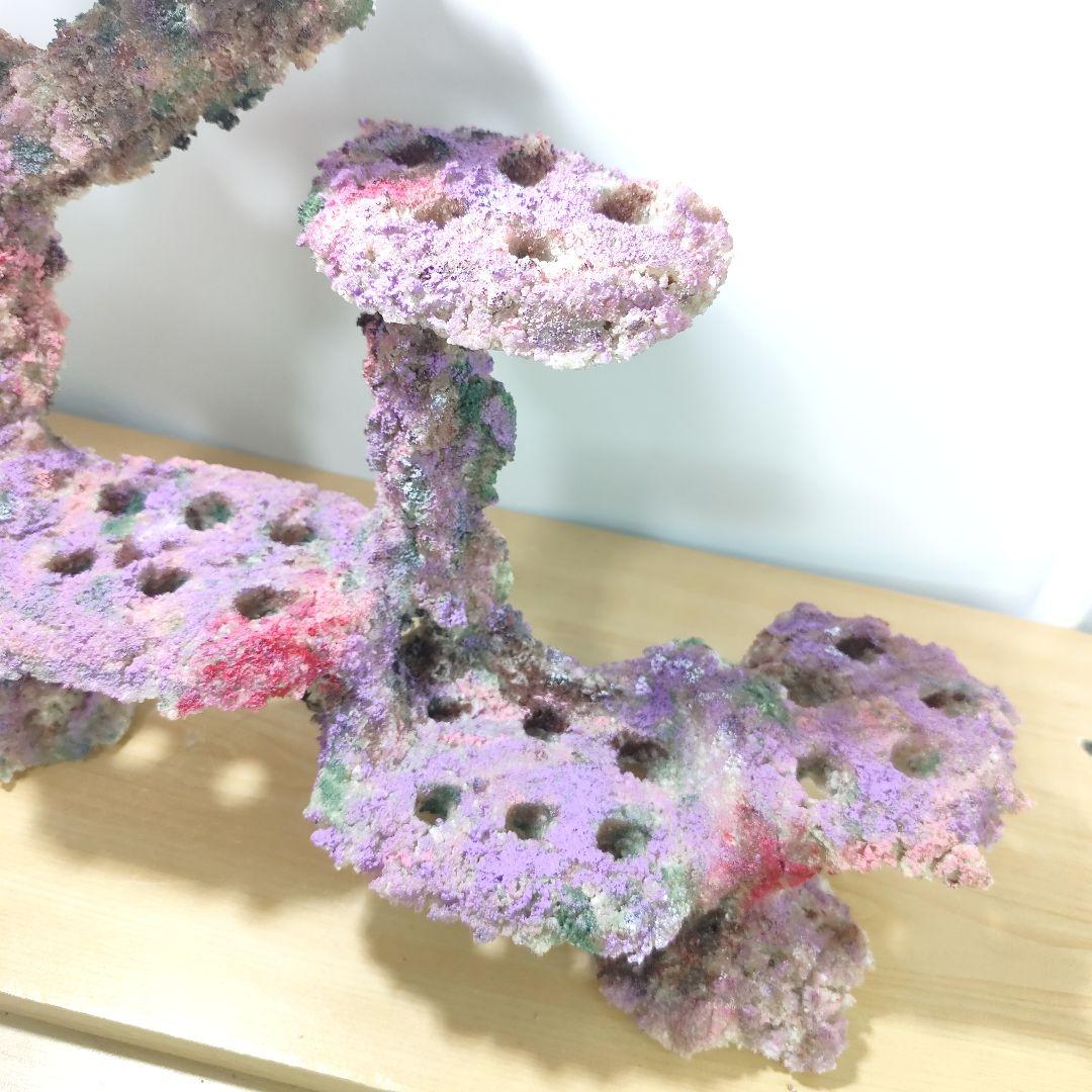 プラグ穴付き アク抜き不要人工ライブロック 海水水槽 レプリカ コーラルフラグ9