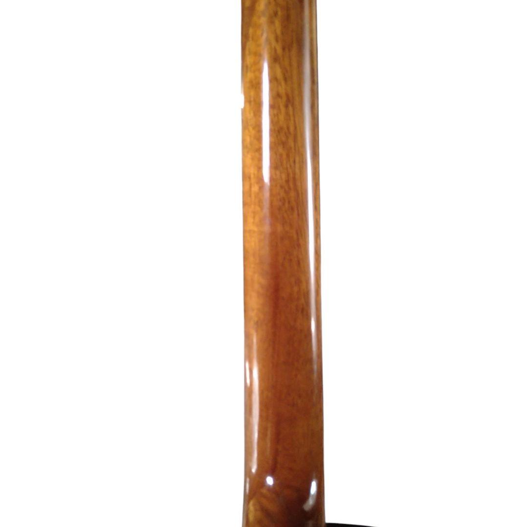 PRS SE A30E エレアコ　エボニー指板　 スプルーストップ単板