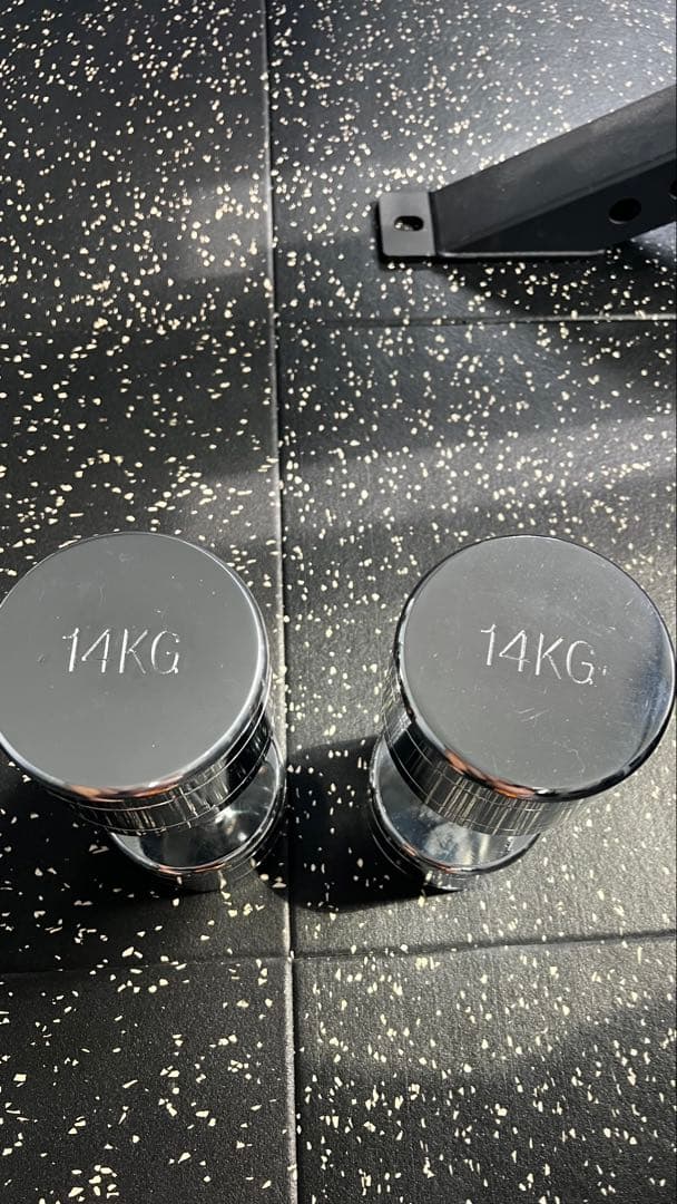 最終値下げ RITFIT ステンレスダンベル 14kg (2本)