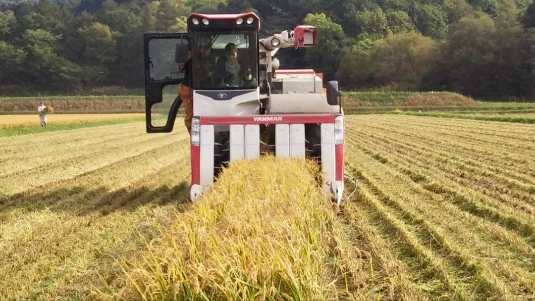 新米✳︎ゆめぴりか✳︎北海道産＊農家直送＊送料込み＊美味しいお米＊5キロ×2