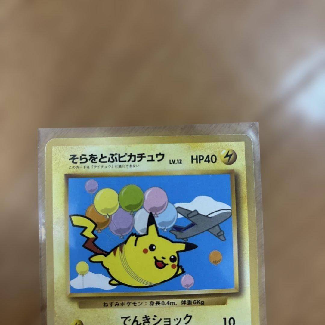 そらをとぶピカチュウ_ANA 「ジェットでゲットだ！Wチャンスキャンペーン」 …