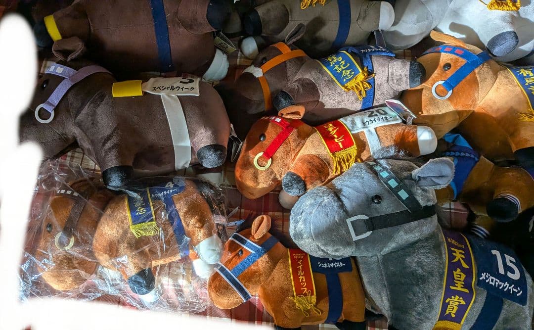 サラブレッドコレクション BIG