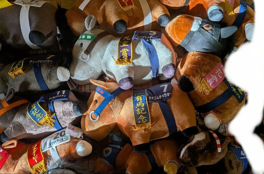 サラブレッドコレクション BIG