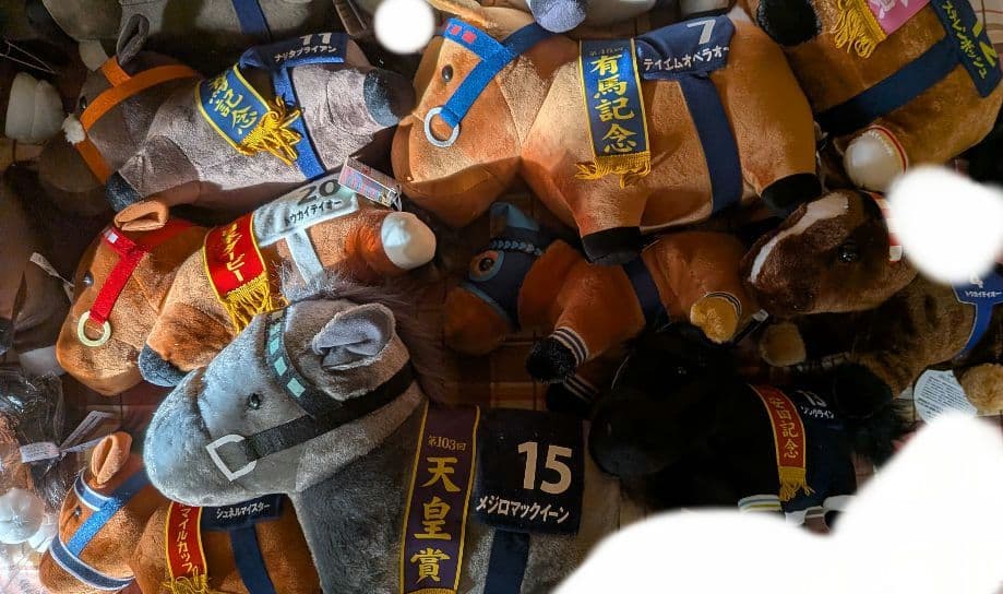 サラブレッドコレクション BIG