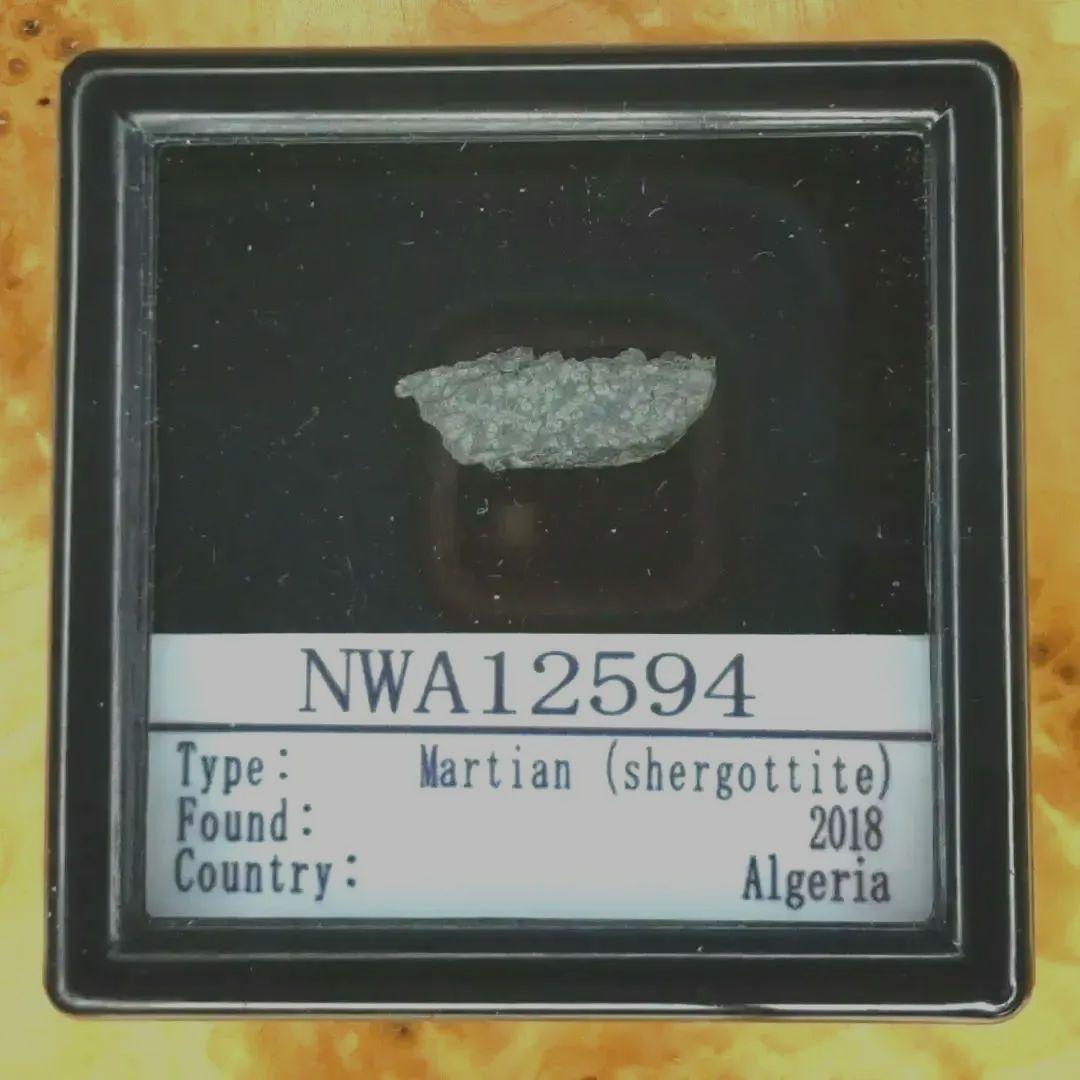 ✨火星の石！シャーッゴッタイト　 NWA 12594　隕石標本