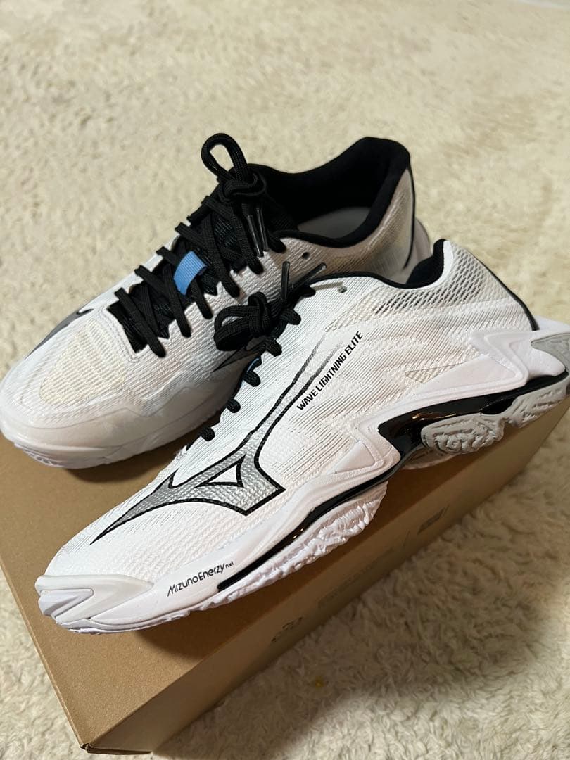 ミズノバレーボールシューズ新作　24.5cm