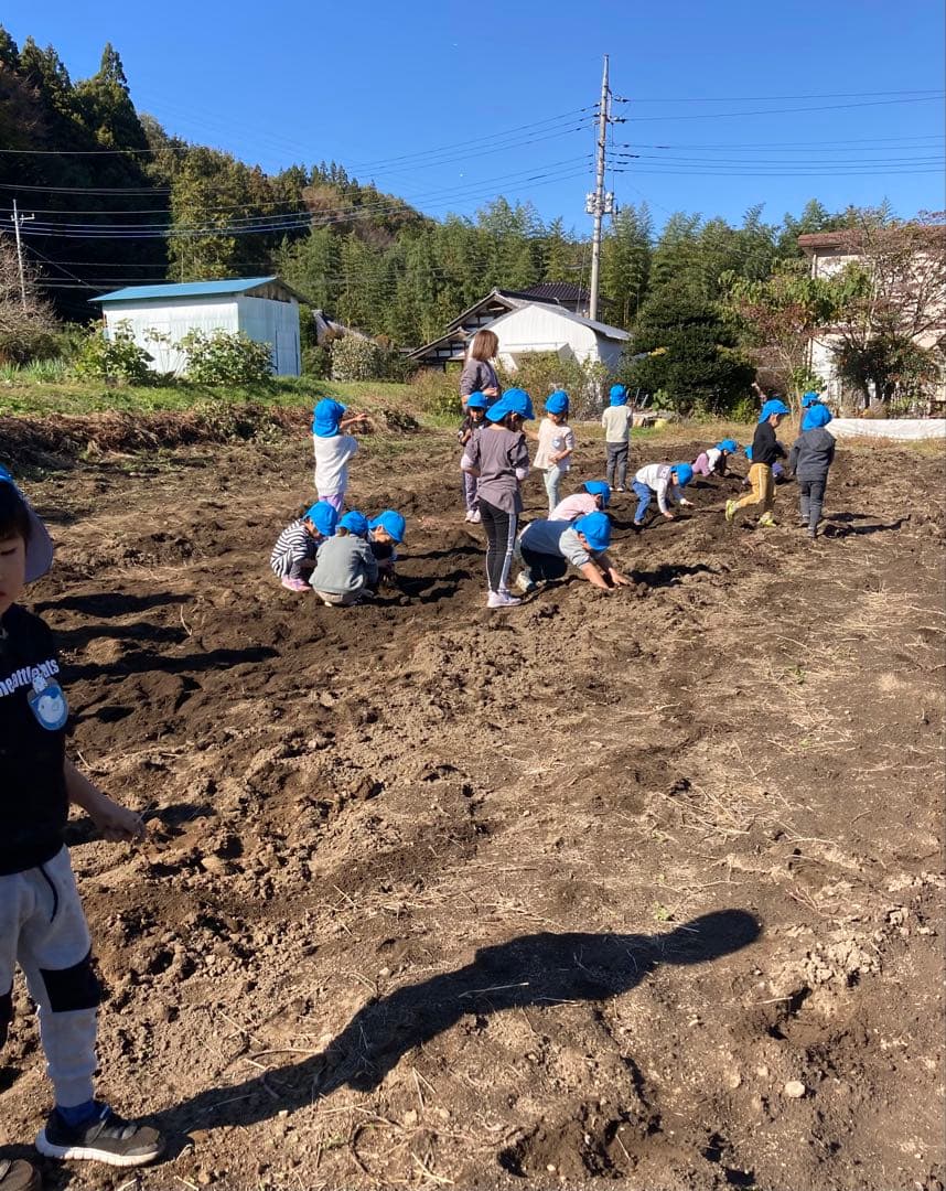 訳あり　丸干し芋 生産農家だからできると〜てもお得‼️ なまとめ売り 11kg