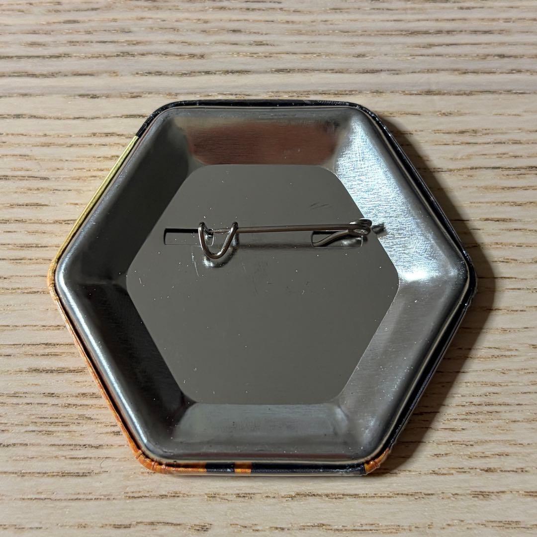 家庭教師ヒットマンREBORN! 缶バッジ J-WORLD ツナ