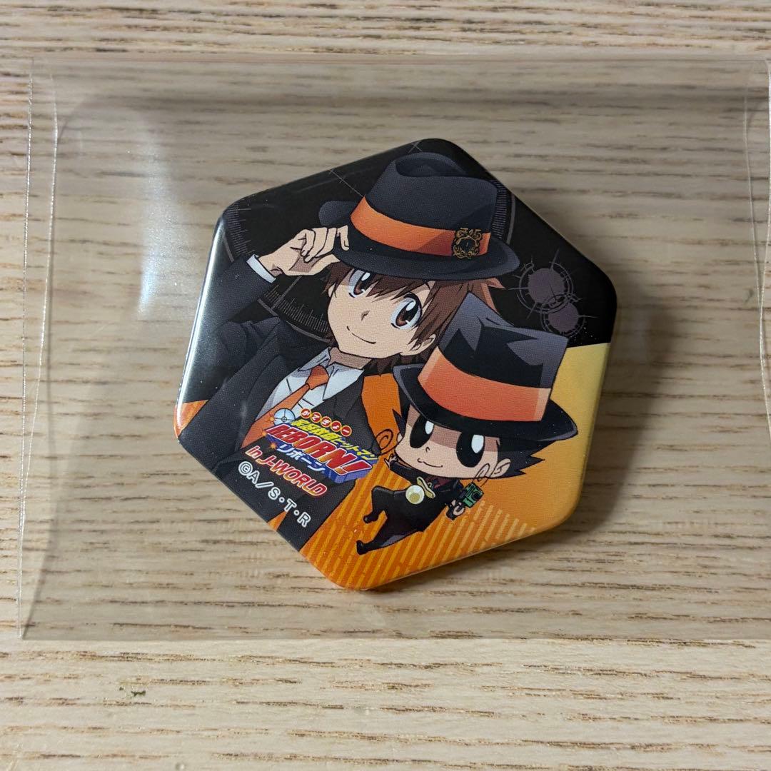 家庭教師ヒットマンREBORN! 缶バッジ J-WORLD ツナ