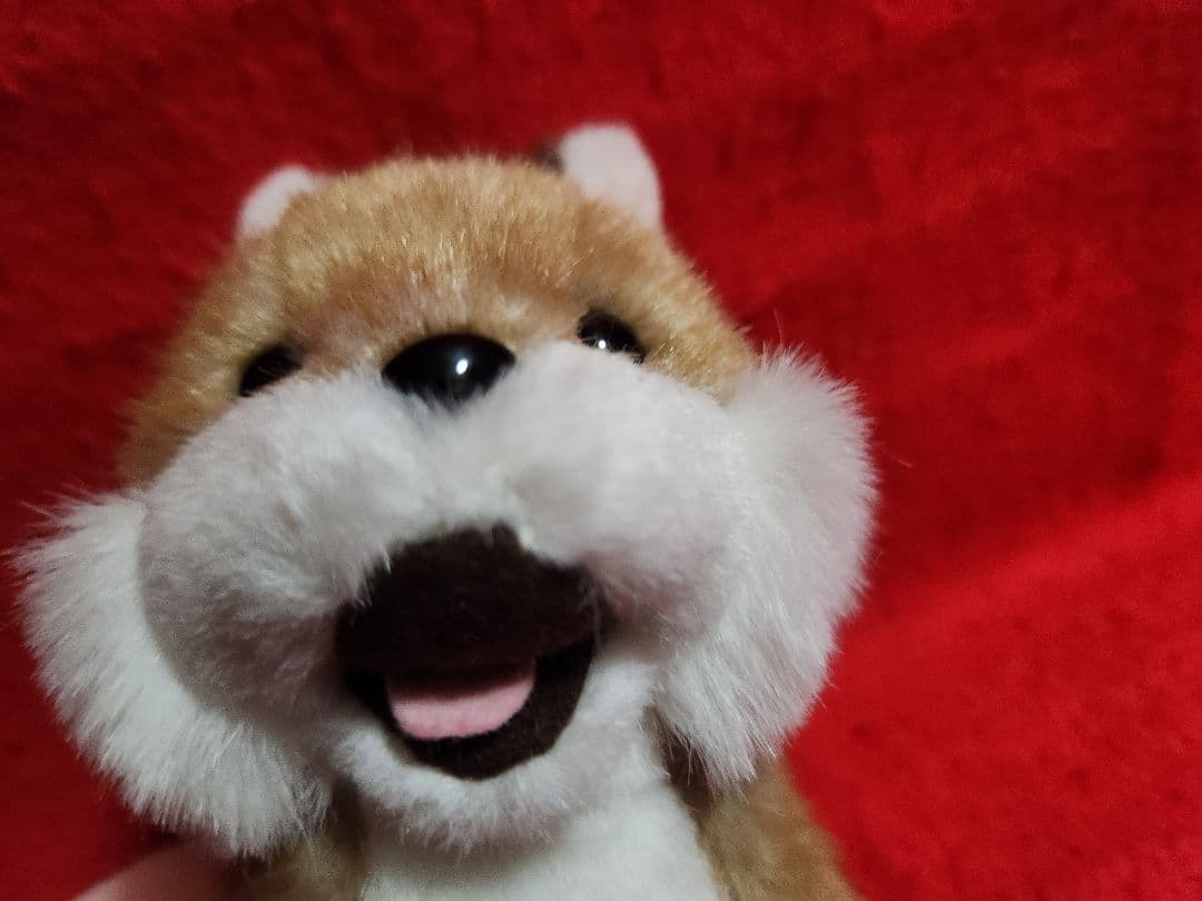 北海道　キツネ　ぬいぐるみ　マスコット