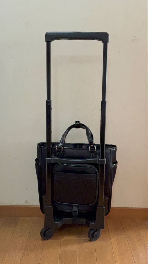 SWANY キャリーバッグ ショッピングカート ウォーキングバッグ 黒