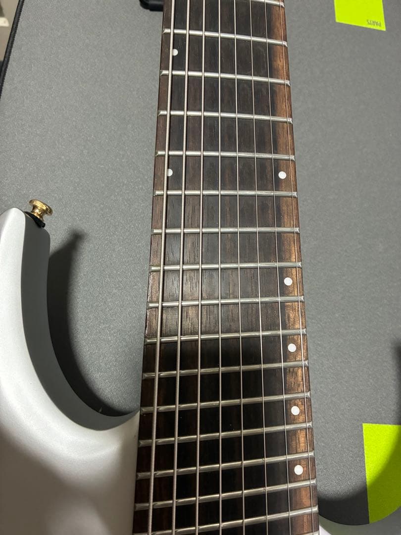 ギター Ibanez RGDMS8