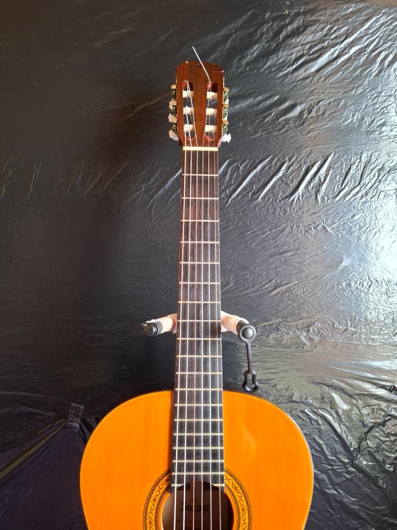 Suzuki C-200 アコースティックギター