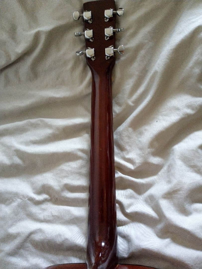 Greco アコースティックギター MODEL100