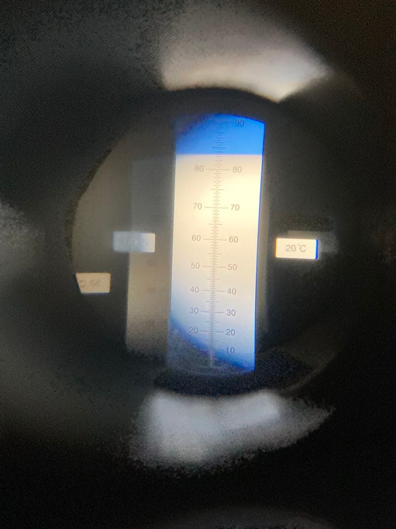 日本ミツバチのハチミツ　たれ蜜　300g×3個❣️送料込み‼️